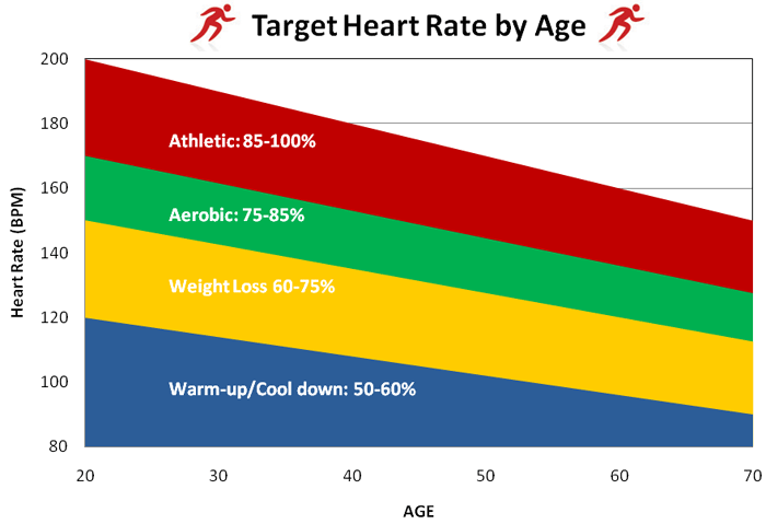 aerobic exercises heart rate